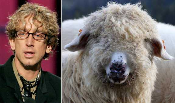 lookanimalAndyDick