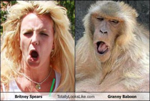 lookfunny_look_alikes_640_07