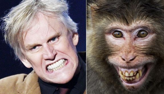 lookgal-animal-look-alikes-gary-busey