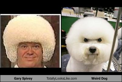 lookgary-spivey-totally-looks-like-weird-dog