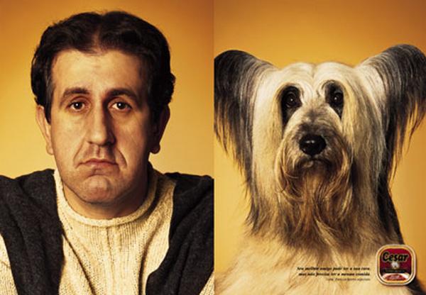 lookweird-pet-look-alikes03
